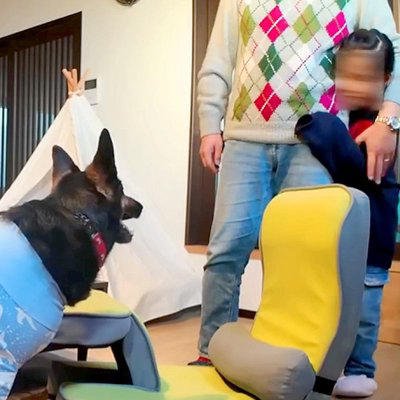 強面の大型犬を怖がる6歳の女の子&rarr;一緒に過ごすうちに距離が縮まり&hellip;あっという間に大親友になる光景が18万再生「みんな優しい」「ほっこり」