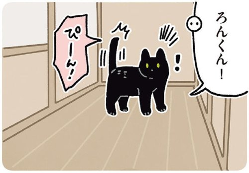 「ろんくん!」呼ばれてハッピ〜!ステップに気持ちが出ちゃう黒猫ろん