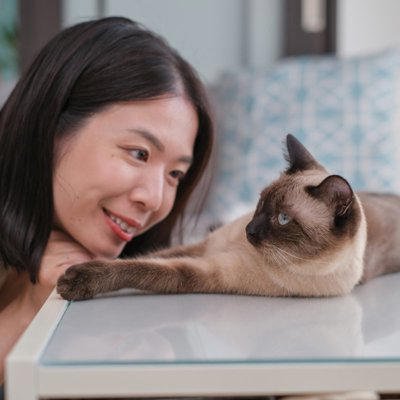 愛猫が返事しているときのサイン5つ, 1.「ニャー」「ンー」などと鳴く, 2.耳をピンと立てる・耳だけこちらへ向ける, 3.しっぽを上向きに立てる, 4.しっぽをゆっくり左右に動かす, 5.ゆっくりまばたきをする, 返事が薄いときも&ldquo;無視&rdquo;とは限らない, まとめ, 愛猫があなたの呼びかけに『返事している』ときのサイン5つ 無視しているワケではない?猫なりの返答方法とは