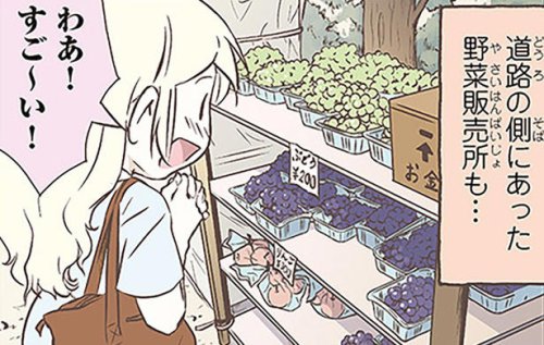 「え、これ盗まれないの？」日本の無人販売に感動したスウェーデン人漫画家