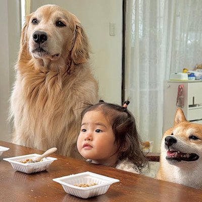 大好物の『納豆』を前にした2匹の犬&rarr;『すぐに食べてしまう』と思いきや&hellip;礼儀正しい『子どものような光景』に反響「お行儀いい」「目キラキラ」