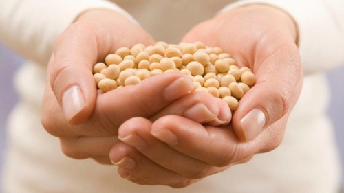 &ldquo;サイレントキラー&rdquo;高血圧を防ぐカギは「豆」？, 1日1カップの豆でリスク30％低下の可能性も, なぜ&ldquo;豆&rdquo;は血圧にいいのか, 「何を食べるか」だけでなく「何を減らすか」も重要, 世界の長寿地域にも根づく&ldquo;豆文化&rdquo;, 最新研究『豆を食べる人ほど高血圧になりにくい』｜大豆やレンズ豆が&ldquo;血管を守る&rdquo;理由とは?