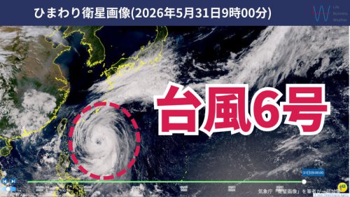 台風はいつ接近？今週前半は台風が本州の南を通過, 雨や風の予想は？本州は台風接近前から大雨のおそれ, 雨の予想, 風の予想, 波の予想, 台風の接近前に見直して！荒天対策, ハザードマップの見直し, 新・防災情報の確認, 非常用持ち出し袋の中身をチェック, 【台風6号】明日1日は沖縄・奄美を直撃! 6月1か月分の雨が1日で降るおそれ! 九州～関東へ影響は?
