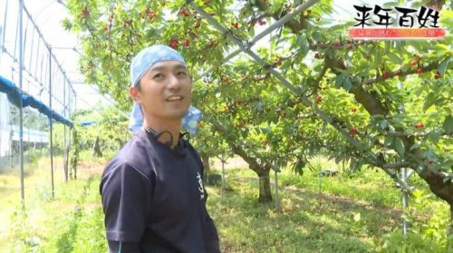 ■さくらんぼ王国を襲う「記録的不作」と温暖化, ■栽培適地の北上と激しさを増す産地間競争, ■霜被害と受粉への奮闘、自然との闘い, ■暑さに強い品種の栽培や新たな挑戦, ■「一生、来年百姓」農家の終わらない挑戦, 「佐藤錦の時代は終わった」記録的猛暑で収穫激減&hellip;&ldquo;さくらんぼ王国&rdquo;山形を襲った危機 それでも自然に抗い続ける農家たち「死ぬまで一生、来年百姓」