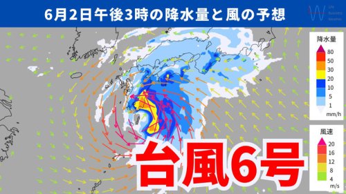 台風の進路は？本州の南岸を通過, 大雨の見通しは？東海で多い所で1日400ミリの大雨に, トラックが横転するおそれのある暴風吹き荒れるおそれ, 新たな防災情報をチェック！, 【台風6号】あさって3日にかけ暴風雨のおそれ!台風の進路や交通への影響は?新たな防災情報のチェックを急いで