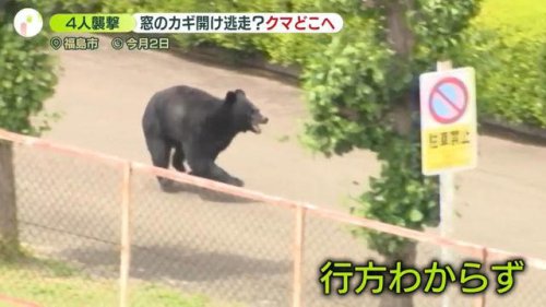クマは「学習能力が高い」箱ワナからエサだけとる映像も 人里で「ずる賢くなってくる可能性」