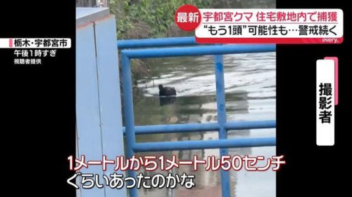 宇都宮の住宅敷地内でクマ捕獲 &ldquo;都市部ならではの難しさ&rdquo;専門家は指摘 2頭以上いる可能性も