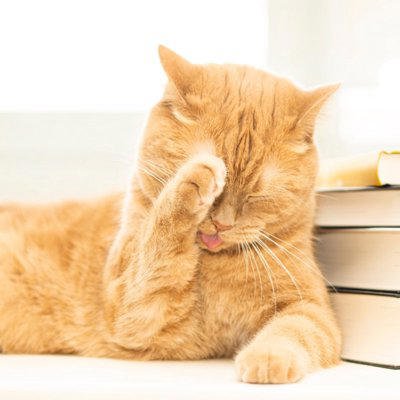 猫が大嫌いなもの5選, 1.予測できない大きな音, 2. 柑橘系の香り, 3.強いニオイ全般, 4.水に濡れること, 5.見知らぬ人・急な環境変化, 不快に感じているサイン, まとめ, 猫が本気で嫌がる「大嫌いなもの」5選 避けてあげるべき理由や不快に感じているサイン