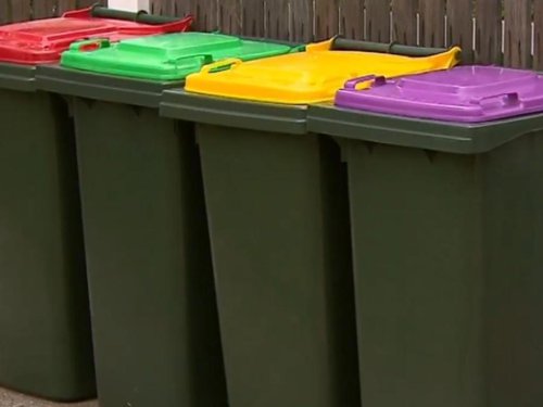 Purple bin to cost you $64 in first year