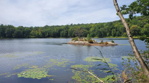 Nestled between two reservoirs is New Jersey's serene state park with fishing, paddling, and trails