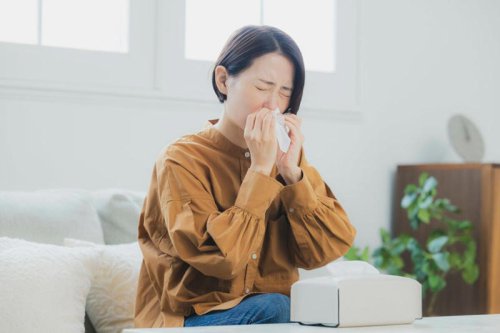 2026年の花粉いつまで続く&hellip;意外と注意したい時季, 朝方にくしゃみが止まらないわけ, 花粉症の薬や手術のウソ、ホント, 「甜茶・カルダモン」は花粉に効く？, 花粉症に「カルダモンが効く」は本当? いつまで続く? 気になる疑問6つを医師が解説