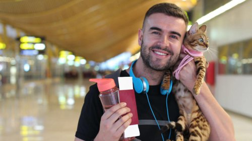 The pawprint planners: How pet-friendly travel is the next big travel trend of 2026