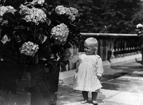 Prince Philip's life in pictures