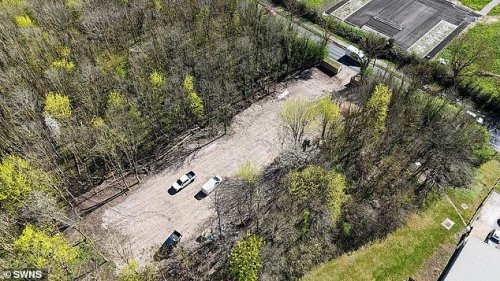Surrey town becomes latest victim of traveller 'land grab': 'Illegal' site appears in woodland