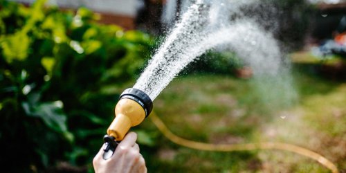 Top-rated garden hoses to shop , Best hose nozzles to shop, Best hose reels to shop, How I picked the best garden hoses, How to shop for a garden hose, Meet our gardening experts, Why trust NBC Select?, The best garden hoses for your outdoor space