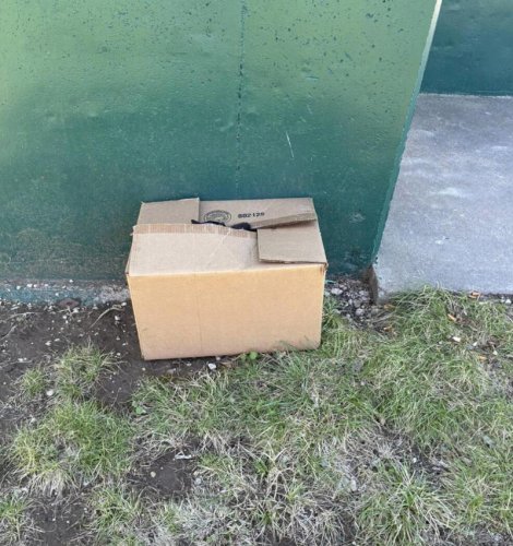 Officer calls for help when cardboard box outside public restroom starts moving