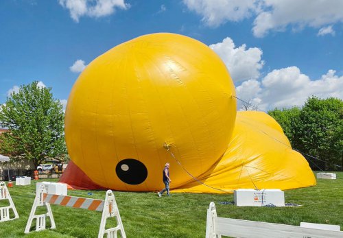 See the 'world's largest rubber duck' in Cuyahoga Falls