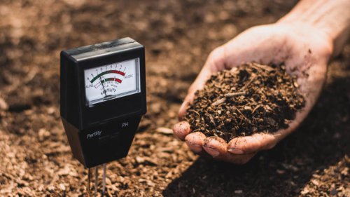 Stop buying the wrong dirt: The difference between topsoil and garden soil