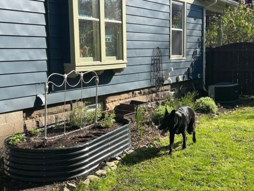 The beautiful results of gardening are worth the body aches | Christensen