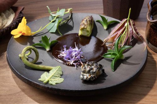 I ate at Noma LA for $1,500. Was it worth it?
