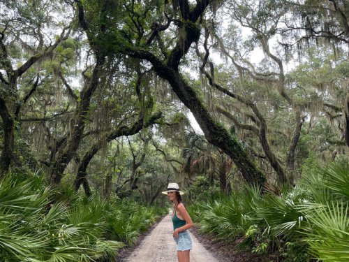 I've traveled solo to all 50 states. Here are the places I'd recommend to first-time solo travelers.