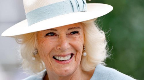 Queen Camilla branded 'exquisite' in striking portrait