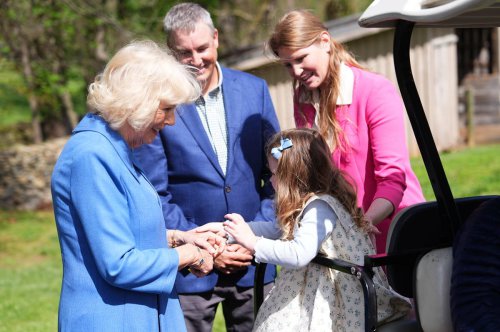 Queen Camilla feeds horses on last stop of state visit