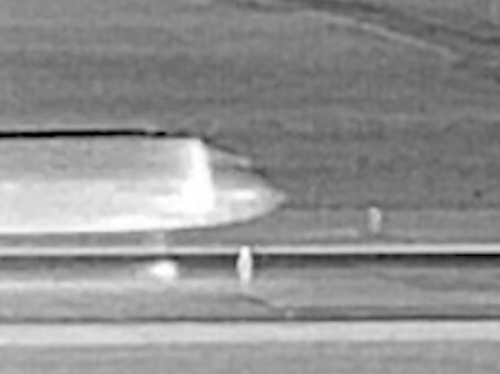 Thermal-imaging footage shows moment person hit by plane in Denver