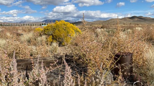 Nestled in Nevada's countryside is a charming little city surrounded by lush valleys and scenic canyons