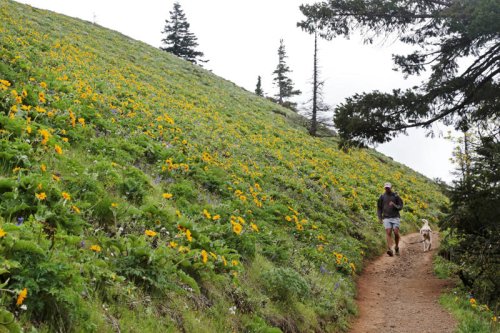Dog Mountain is one of the most amazing hikes in the Northwest &mdash; just don&rsquo;t take it lightly