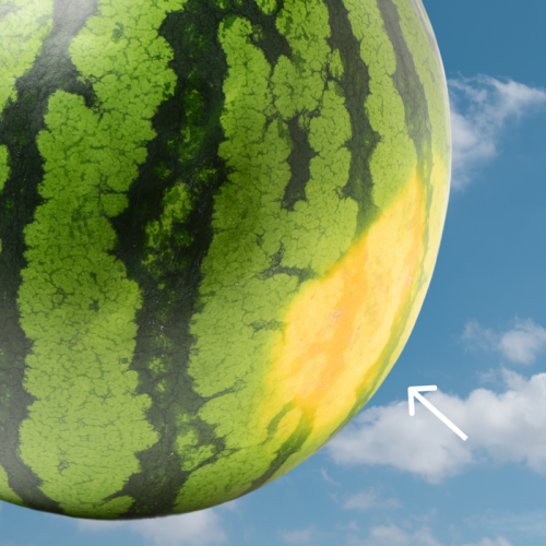 Look for the yellow field spot, Pick it up (yes, really), Look for webbing (brown scratchy spots), Give it the thump test, The stem is a clue, The bottom line, The secret to buying the best watermelon every time