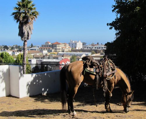 Ups, downs of downtown Santa Cruz economy | Ross Eric Gibson, local history
