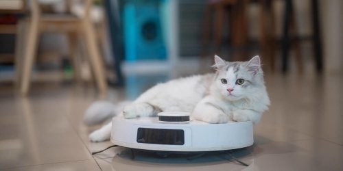 The best vacuums for pet hair, How I picked the best vacuums for pet hair, How to shop for pet hair vacuums, Meet our cleaning experts, Why trust NBC Select?, Tired of stubborn pet hair? Make sure you&rsquo;re using the right vacuum