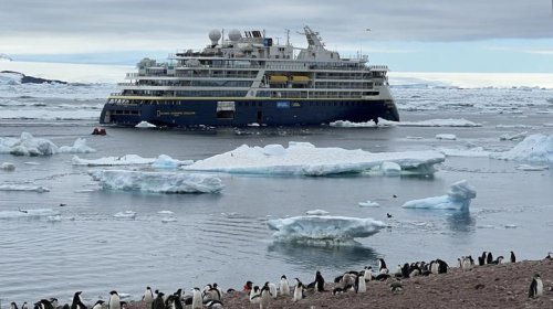 Consumer Reports has named the No. 1 cruise line for overall satisfaction