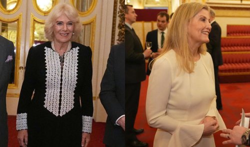 Queen Camilla does black and white Anna Valentine for garden party