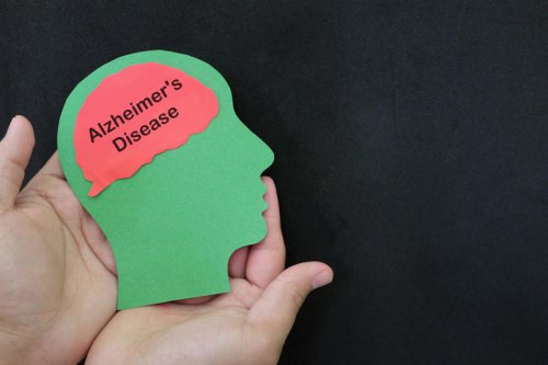 What are some risk factors that we can&rsquo;t change?, Sex, Are there any&nbsp;lifestyle factors that can increase our risk of dementia?, What lifestyle changes can we make to reduce our risk of Alzheimer&rsquo;s disease?, The ways your lifestyle could be increasing your risk of Alzheimer&rsquo;s