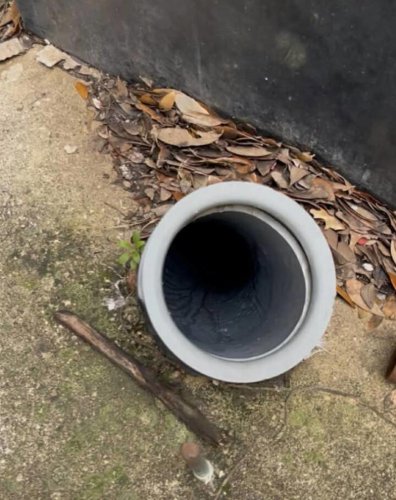 Security guard hears 'faint meow' near Macy's and finds tiny baby trapped in tube