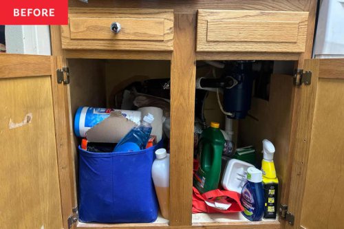 I tried this pro-approved decluttering method - it transformed my messiest cabinet in minutes