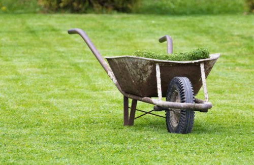 Benefits Of Leaving Grass Clippings On The Lawn, Using Grass Clippings As Mulch, Composting Grass Clippings, Other Uses For Grass Clippings, Proper Disposal Of Grass Clippings, Don't throw away grass clippings&mdash;here's what to do instead