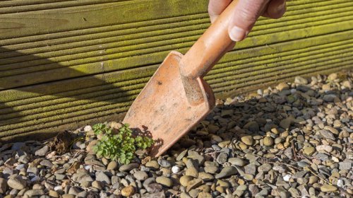 Keep weeds from growing in gravel with an easy DIY remedy