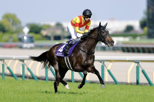 【ヴィクトリアマイル】武豊、巧みな逃げも「東京の直線は長い&hellip;」レース後ジョッキーコメント