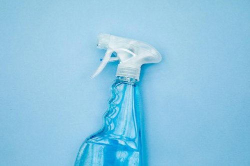 Top 13+ Things You Should Never Clean with Windex