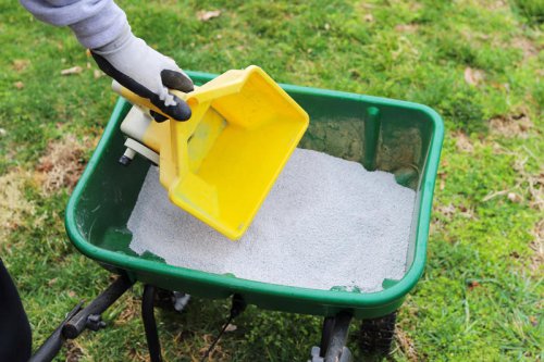 Top 19+ Things You Should Never Do To Your Lawn