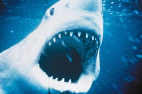 Movies that are better than their books