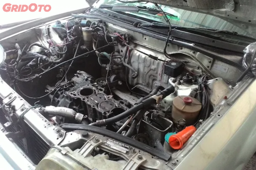 mobil, tikus, mesin, mesin mobil, ruang mesin, Cegah Tikus Masuk ke Ruang Mesin Mobil, Ini Langkah dan Tips nya!