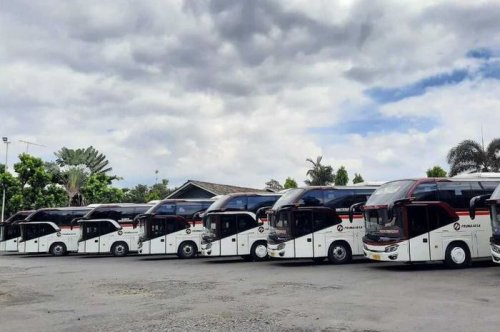 Spesialis Garap Rute Pendek, Ini Sejarah Berdirinya PO Bus Primajasa