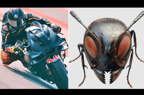 MotoGP, ktm rc16, fairing, Fairing Baru KTM Mirip Kepala Semut, Jangan Remehkan Wajah Lucunya