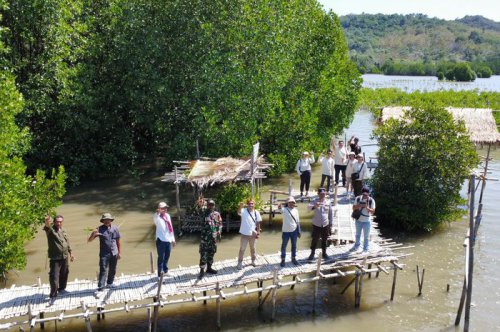 MPM Honda Jatim dan MPMX Bergandeng Tangan, Tanam 40 Ribu Bibit Mangrove di Manggarai Barat