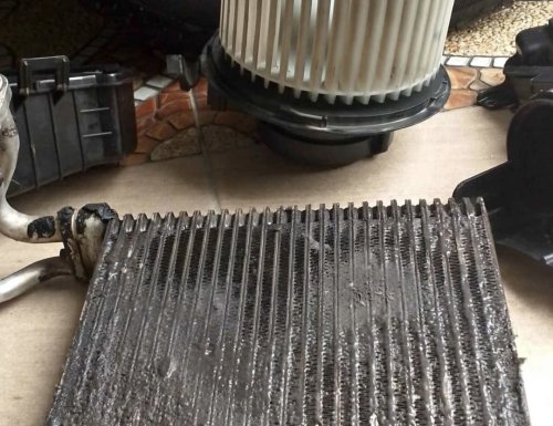 mobil, jamur, debu, evaporator, Evaporator Kotor Bisa Menjadi Penyebab Bau di Dalam Kabin Mobil