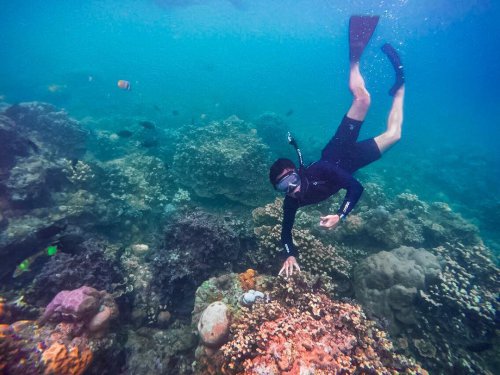 Snorkeling Ke Pantai Amed Yang Terletak di Karangasem Bali dan Berapa Harga Tiket Masuknya?